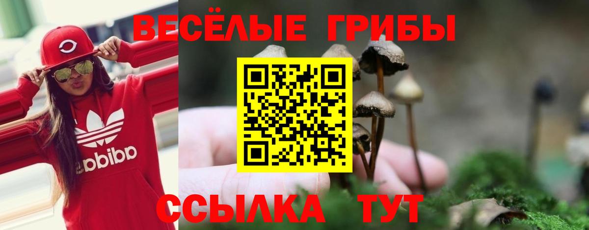 Галлюциногенные грибы Psilocybine cubensis  Вход с VPN  Шарыпово 